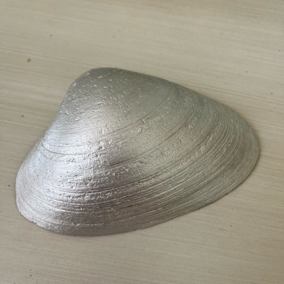 🌻6-Gorgeous pearl painted and gold trimmed shells - Picture 12 of 14